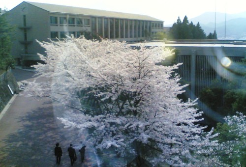 京都産業大学